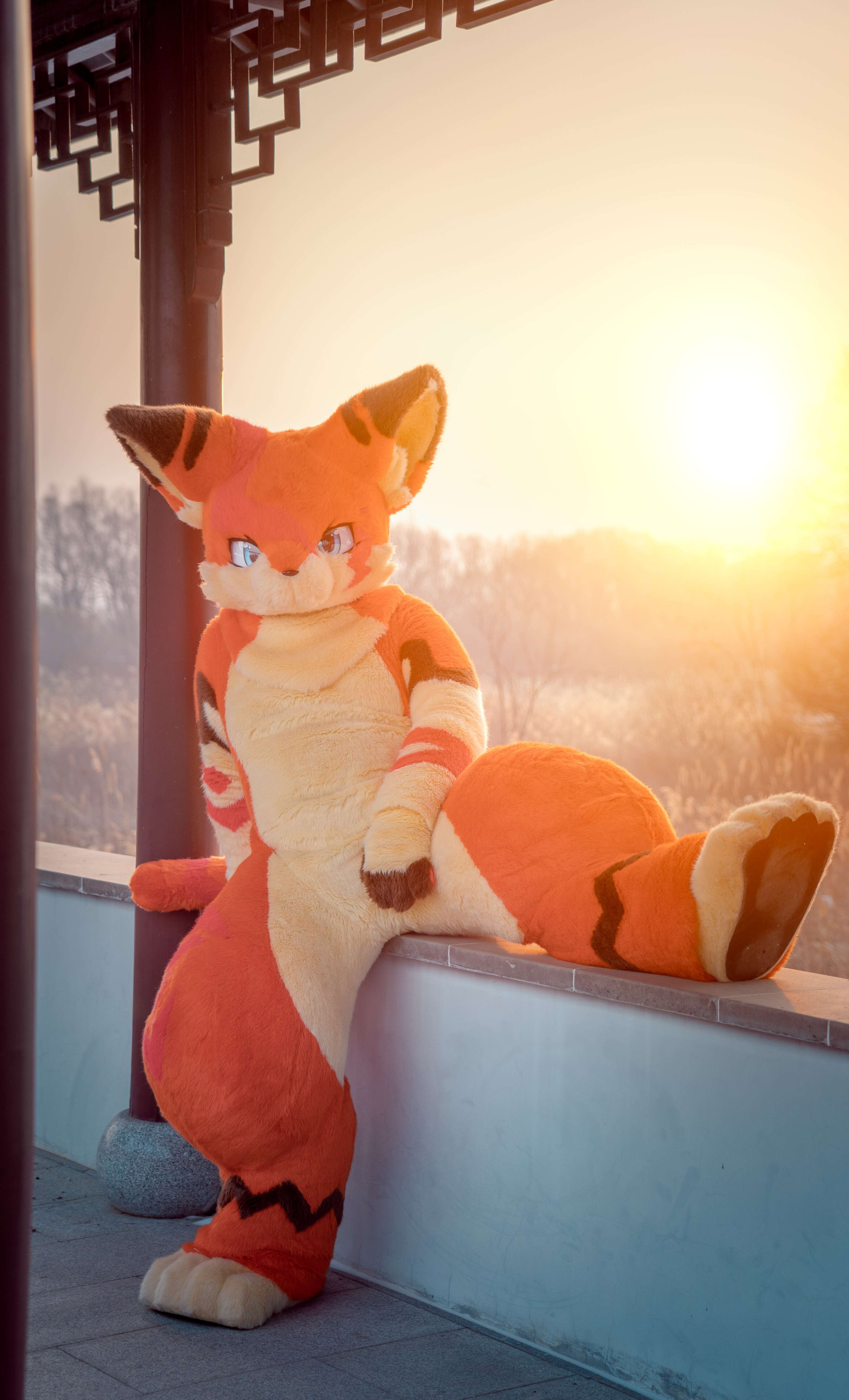 从事职业:近卫&电系法师双修保镖 联系方式:推特agua23333,qq