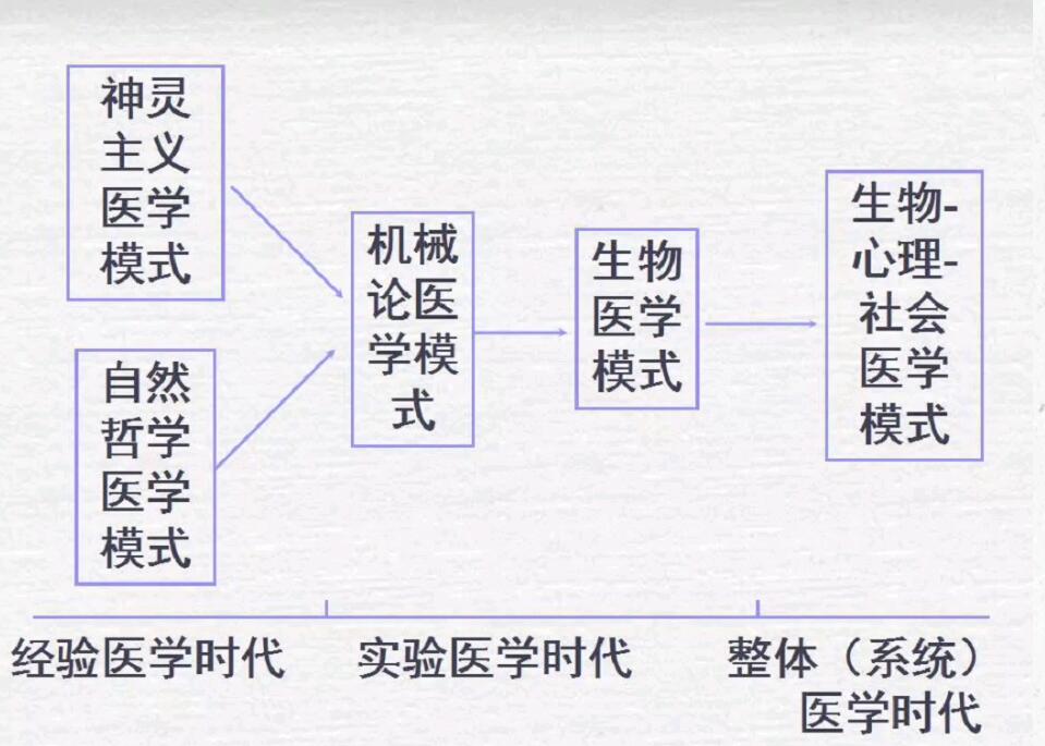 社会医学资料整理 - 哔哩哔哩
