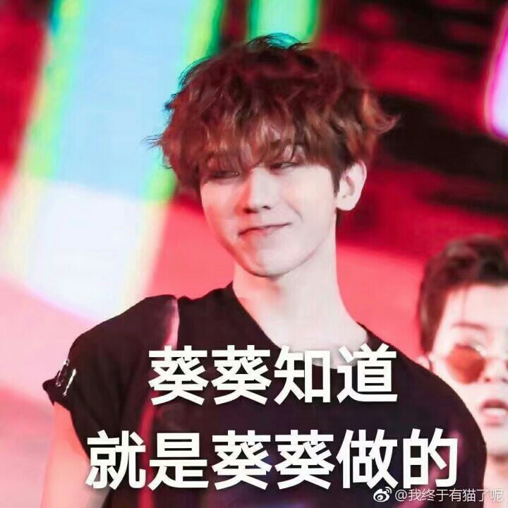 王炸四子和我的故事第五章(蔡徐坤 Justin篇)