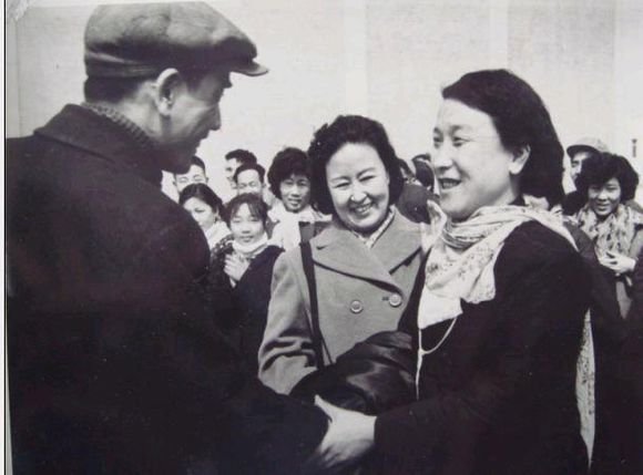 河南越调大师申凤梅的表演艺术