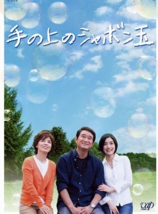 石原里美参演过的电视剧(2003-2010)