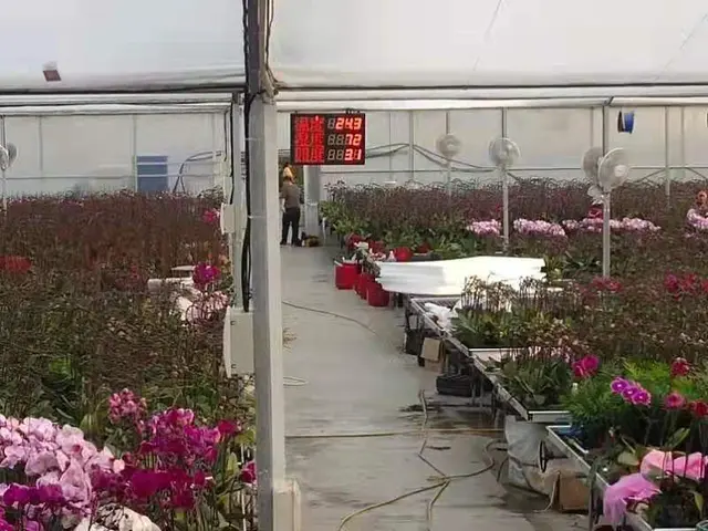 现代农业物联网技术 打造蝴蝶兰产业智慧温棚 哔哩哔哩