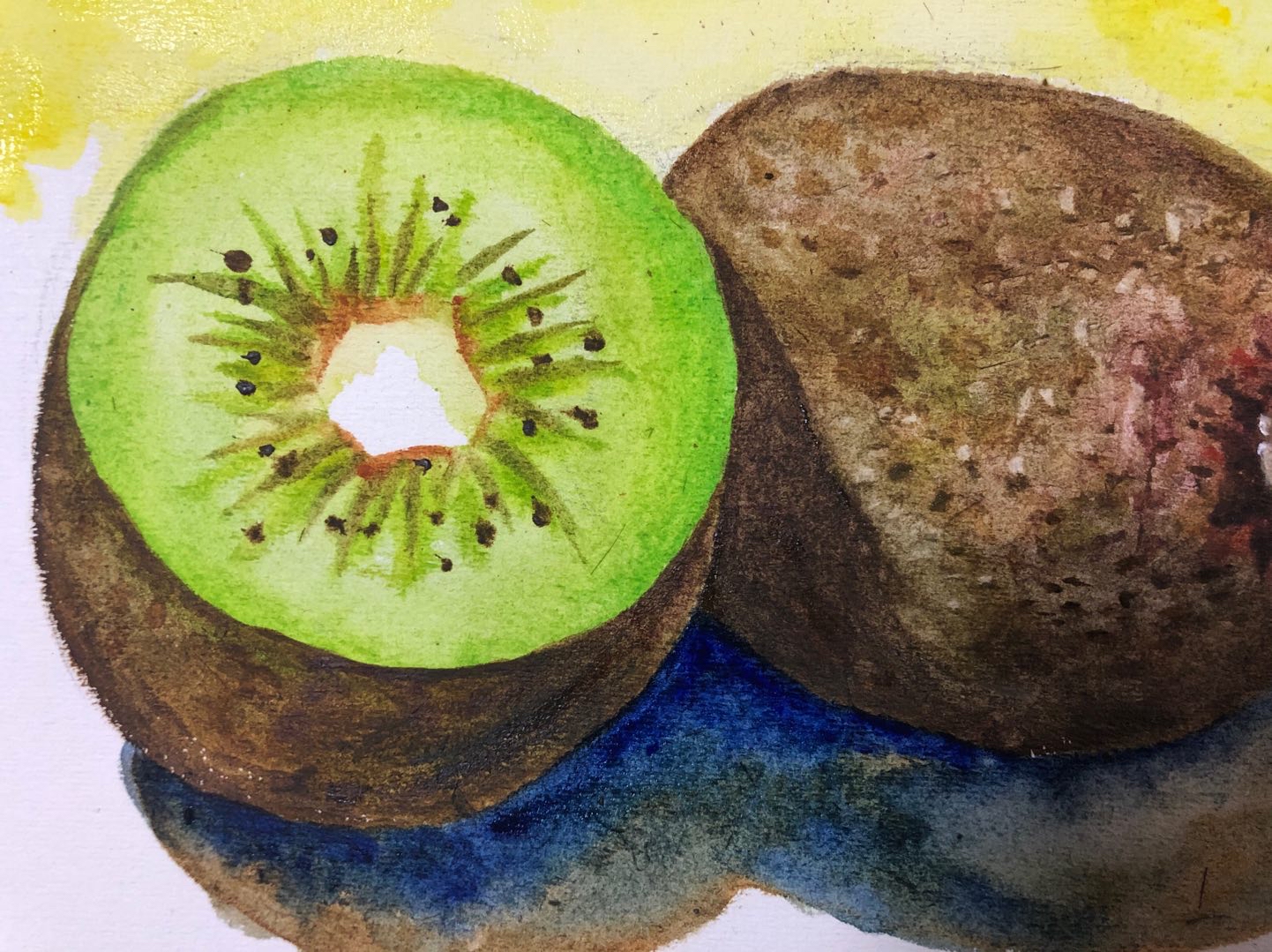 跟着柴崎爷爷画猕猴桃