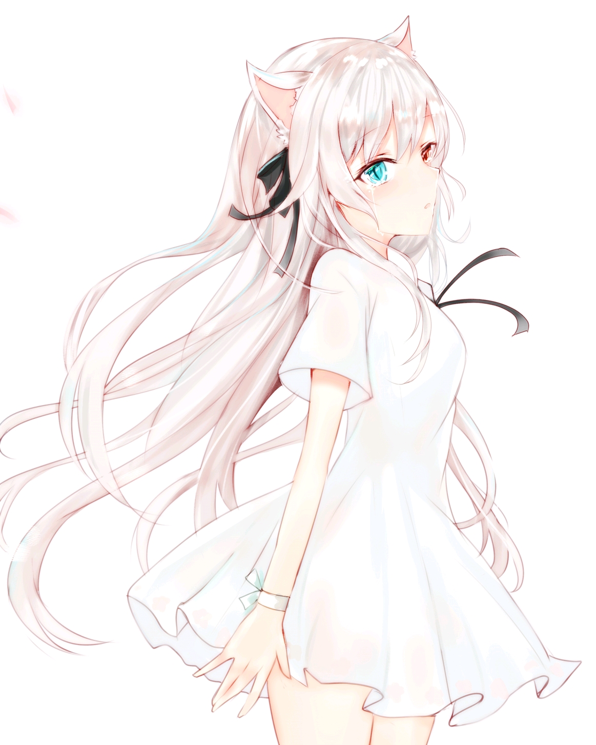 【pixiv搬运】兽娘系列杂图 (6毛绒绒的耳朵真可爱