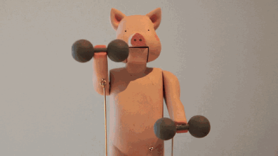 560_314gif 动态图 动图