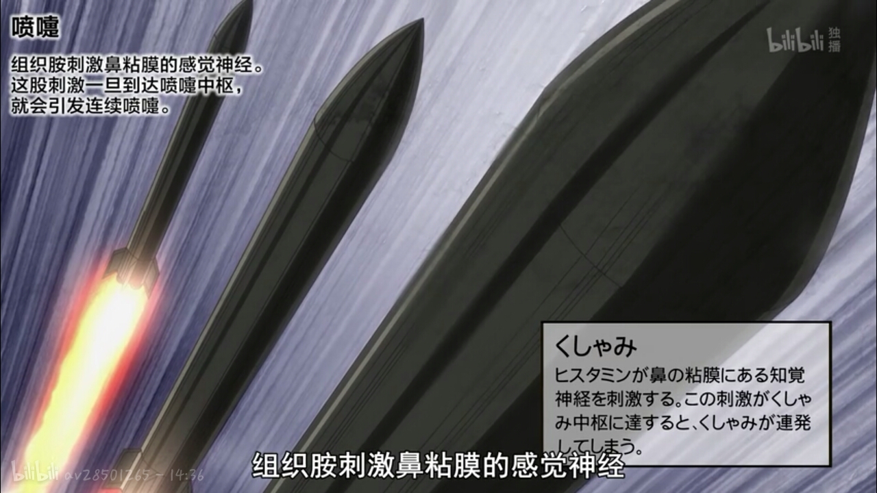 [工作细胞第5话]最可爱杉树花粉被消灭却引发