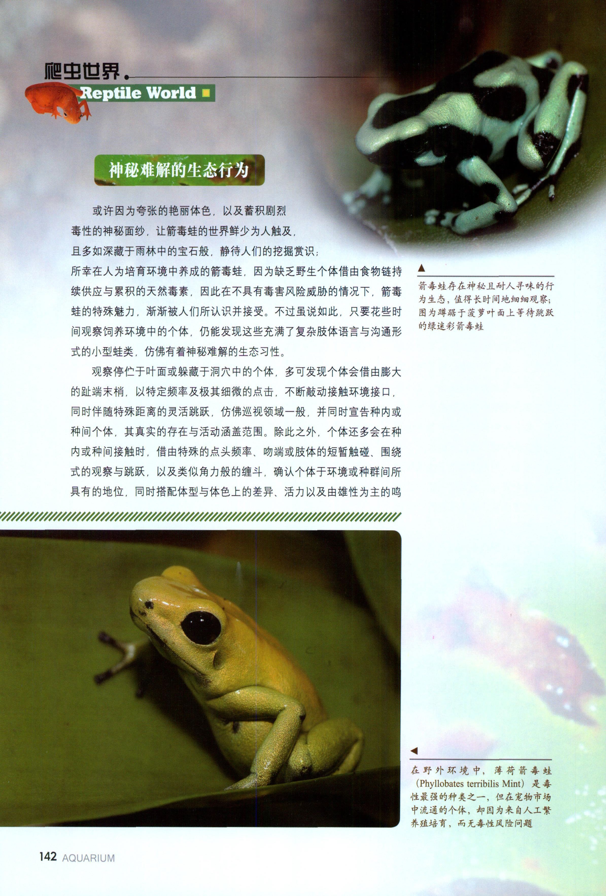 易游娱乐城- YY易游体育官方网站- 易游体育APP动物交配方法有哪些