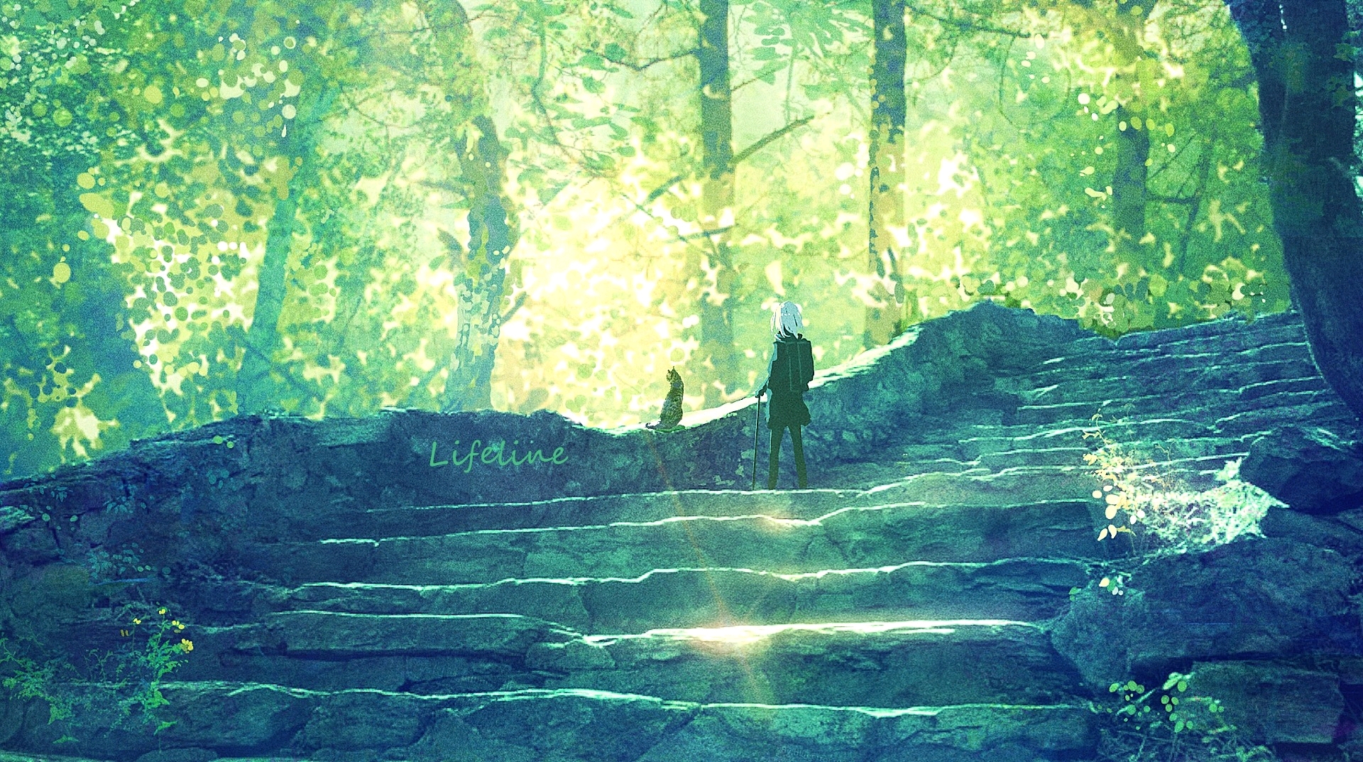 杂图不定时更新