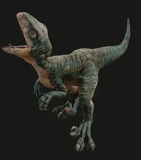 迅猛龙艾科,狂暴的老三