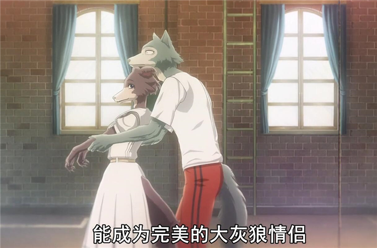 动物狂想曲:雷格西到底跟谁最配?狼兔组合确实很别扭