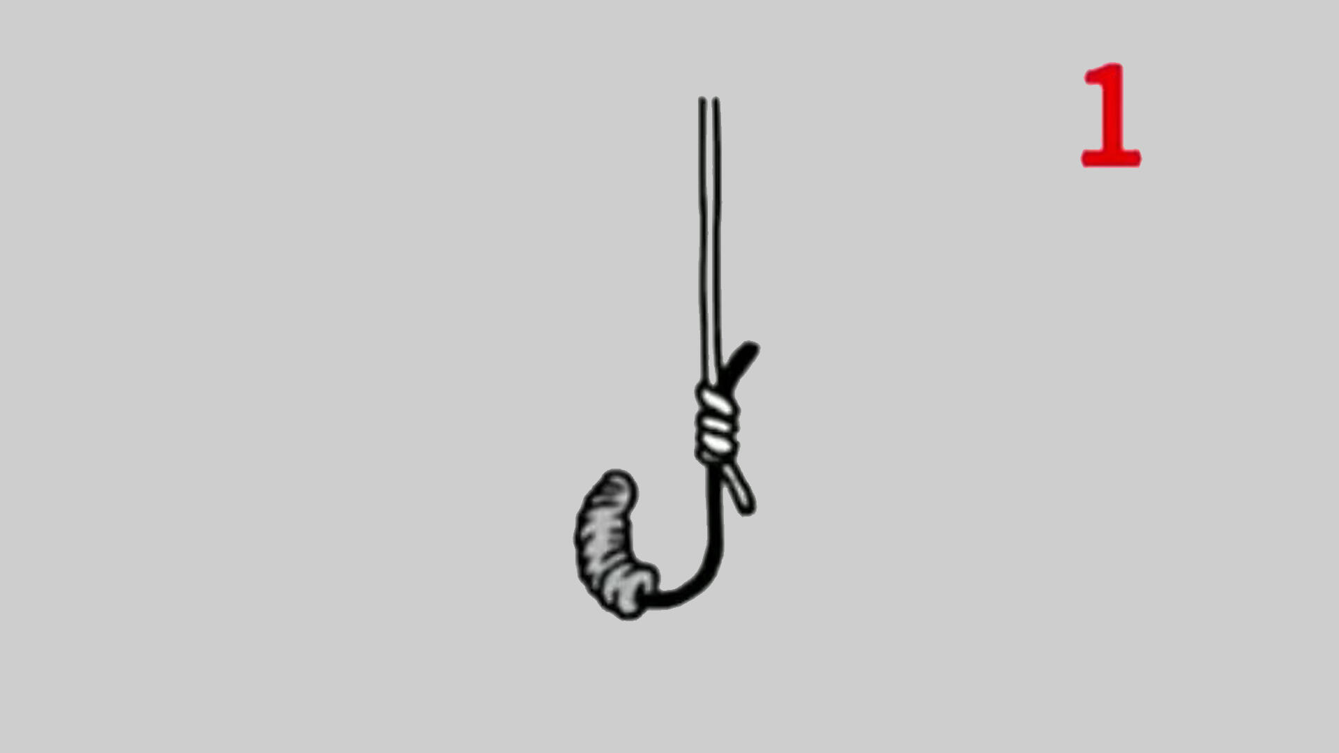 海洋蠕虫(环节动物，沙虫，沙虫)在水中(宏观)。钓鱼诱饵。图片-商业图片-正版原创图片下载购买-VEER图片库