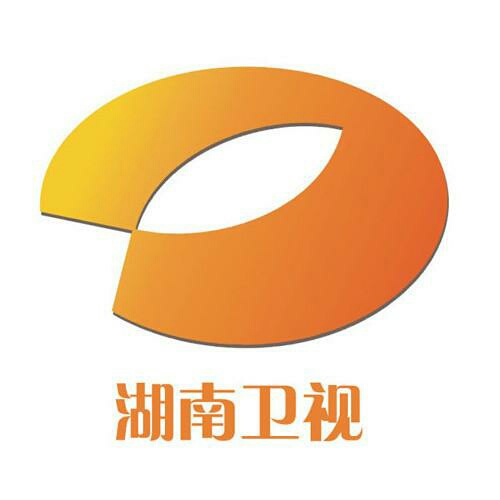 湖南卫视logo含义图片