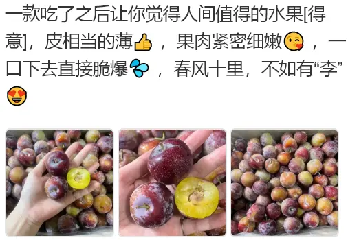 水果文案:青红脆李文案,水果青红脆李的文案怎么写 - 哔哩哔哩