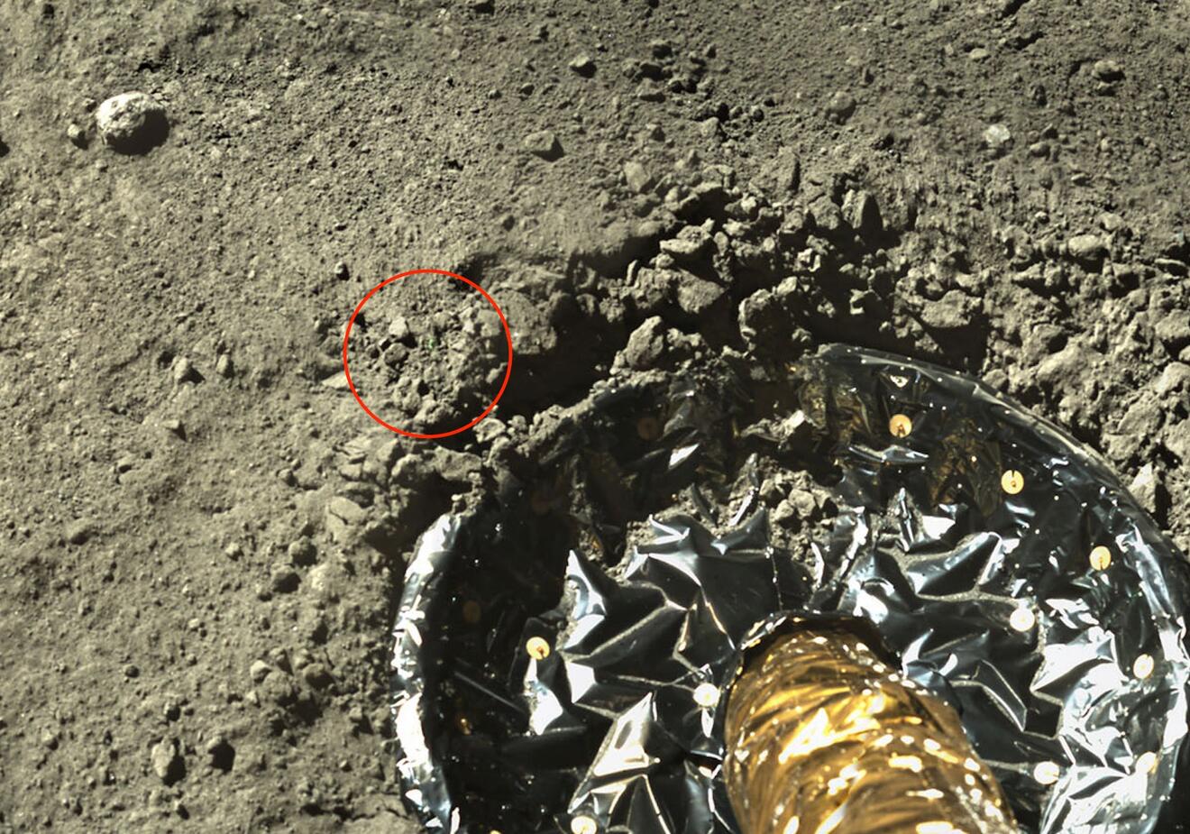 月球土壤照片图片