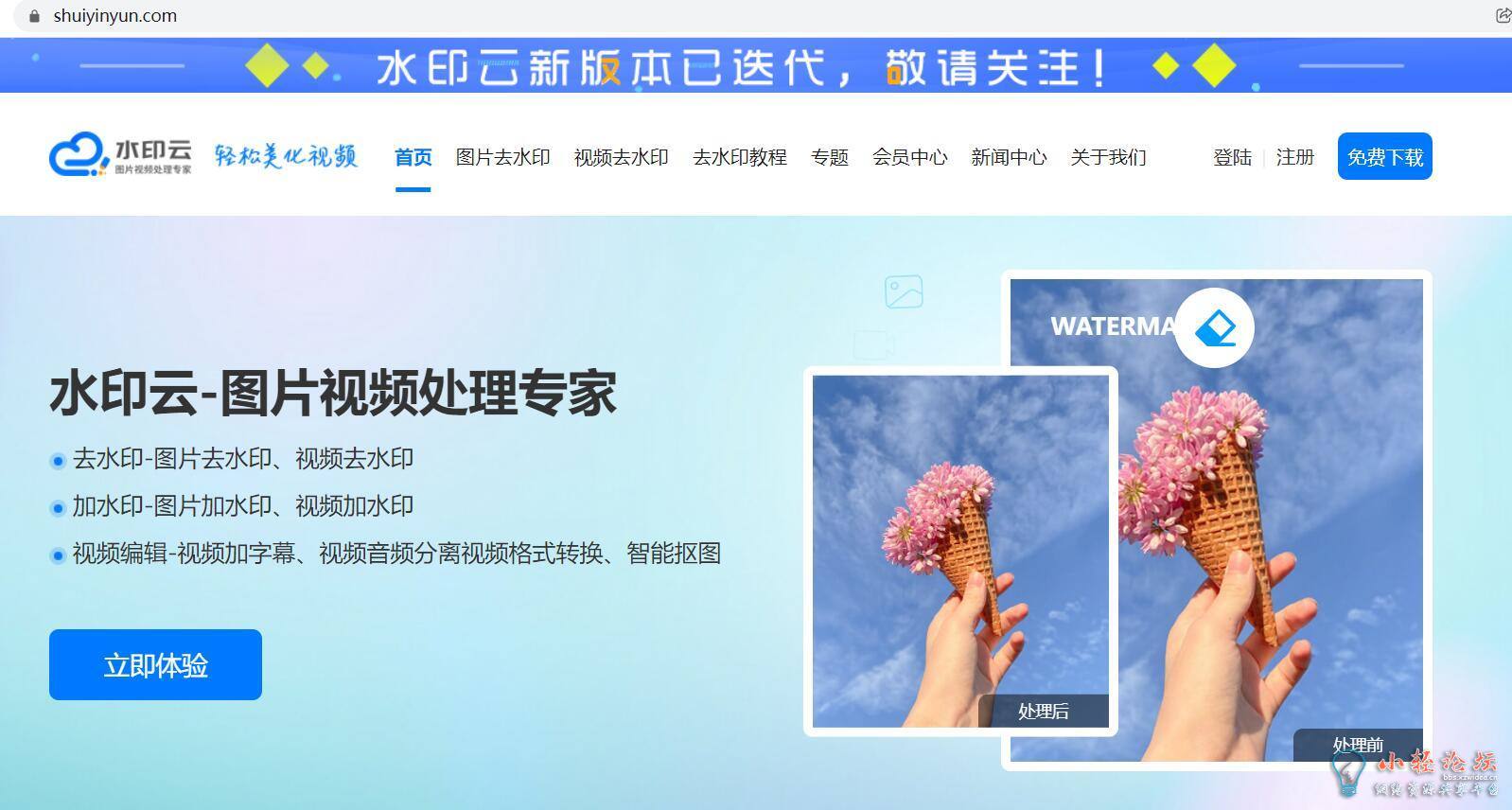 在线去水印