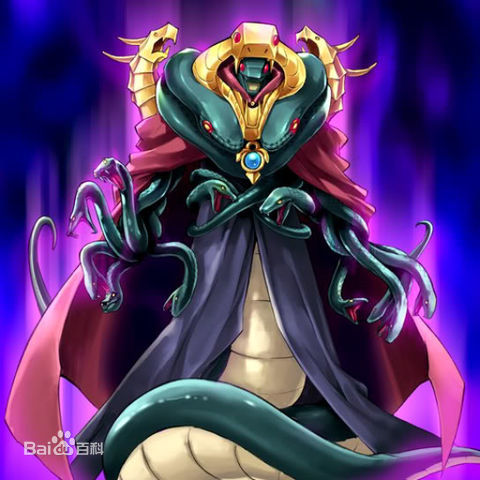 【游戏王】图片艺术--蛇毒卡组