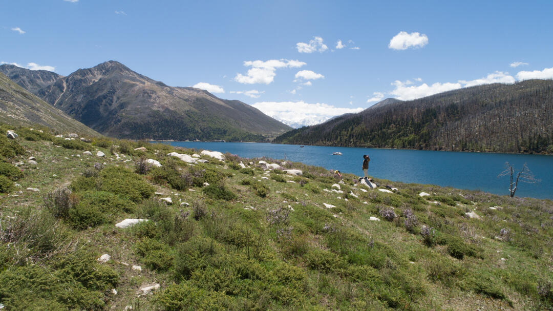 招聘信息发布_招聘信息发布文案_招聘信息