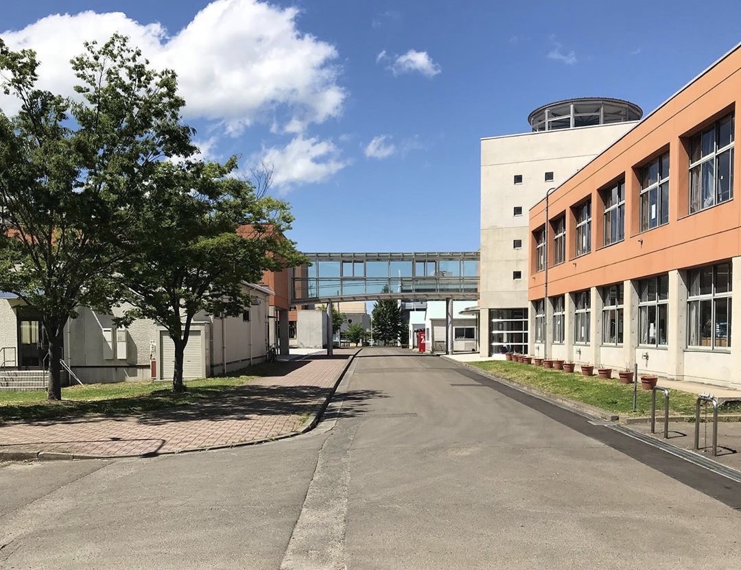 排球少年白鸟泽学园原型东北高校,真·没落强豪.