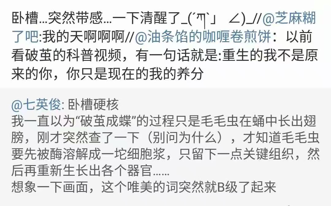 破茧成蝶\/文梗-设定