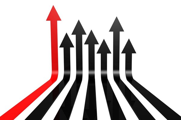 为何强调毫不放松抓好粮食生产