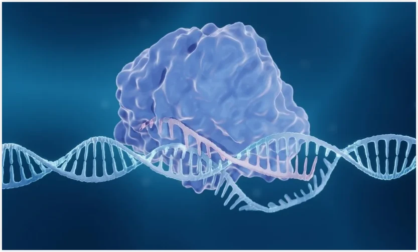 crispr-cas9