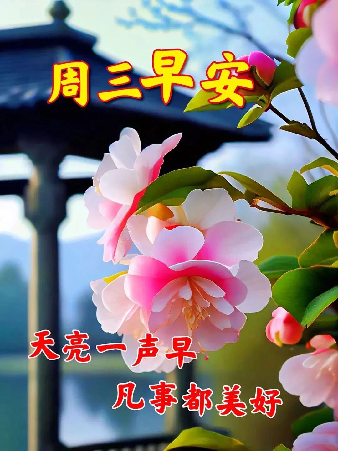 5月17日周三早上好，精选温馨早安祝福语 - 哔哩哔哩