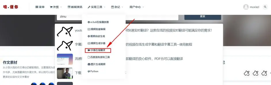 Youtube无法翻译视频 本地视频如何快速实时翻译 这款在线的视频实时翻译可能满足你 哔哩哔哩