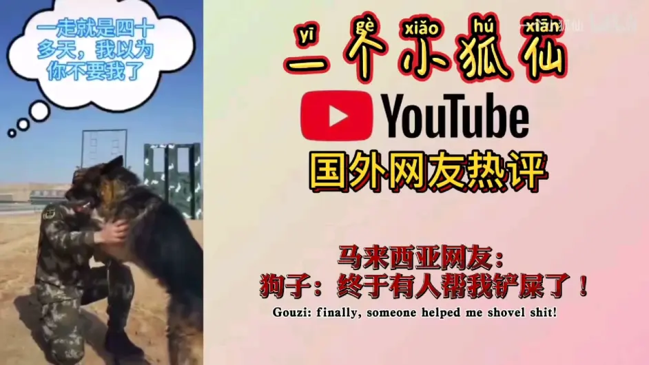 一个小狐仙 编评论的 翻译官 哔哩哔哩
