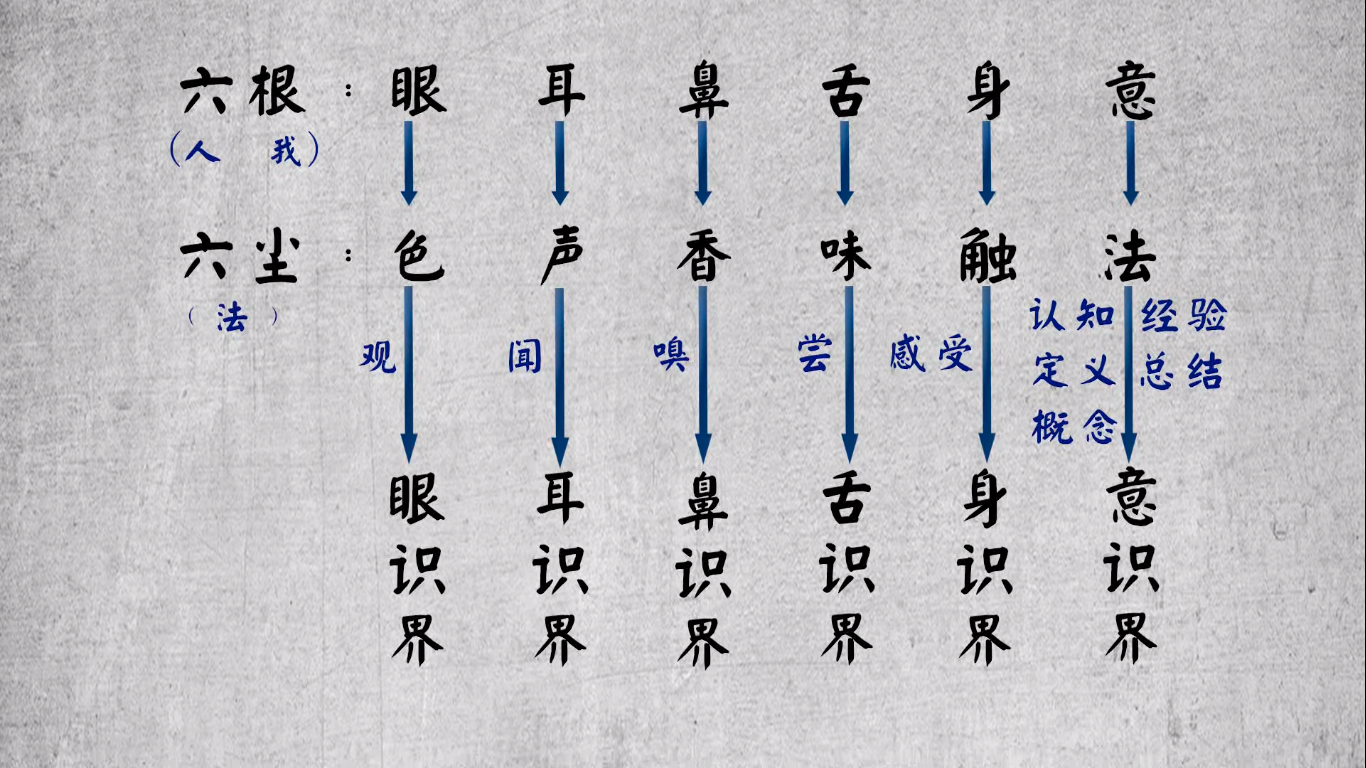 六根 · 六尘 哔哩哔哩