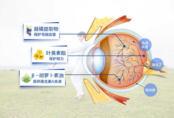 解锁儿童护眼技能!看看叶黄素哪种好