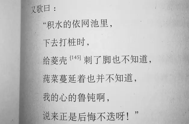 古事记的情种天皇 哔哩哔哩