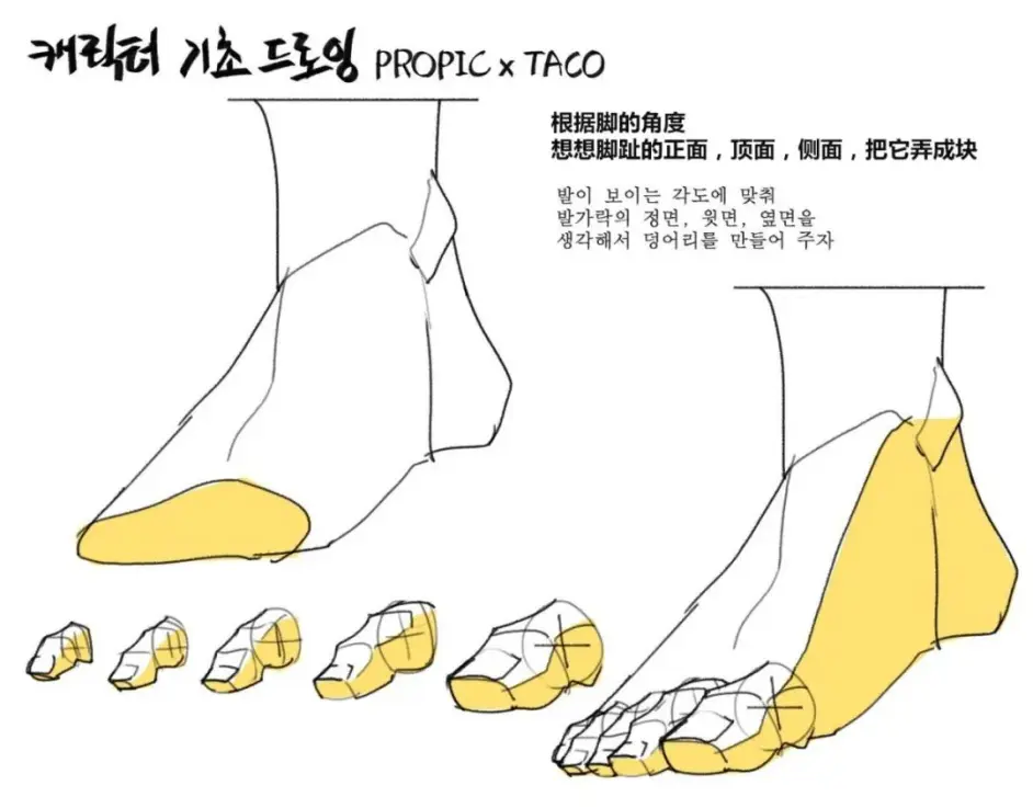 绘画教程 韩国画师taco 关于人体足部 脚的绘制教程 人体教程 哔哩哔哩