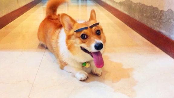 k3003线爆、浸水了怎么办?HIFI耳机保修,原来