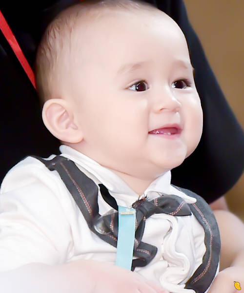 超人回来了海明顿家族:大肚廉&大头本