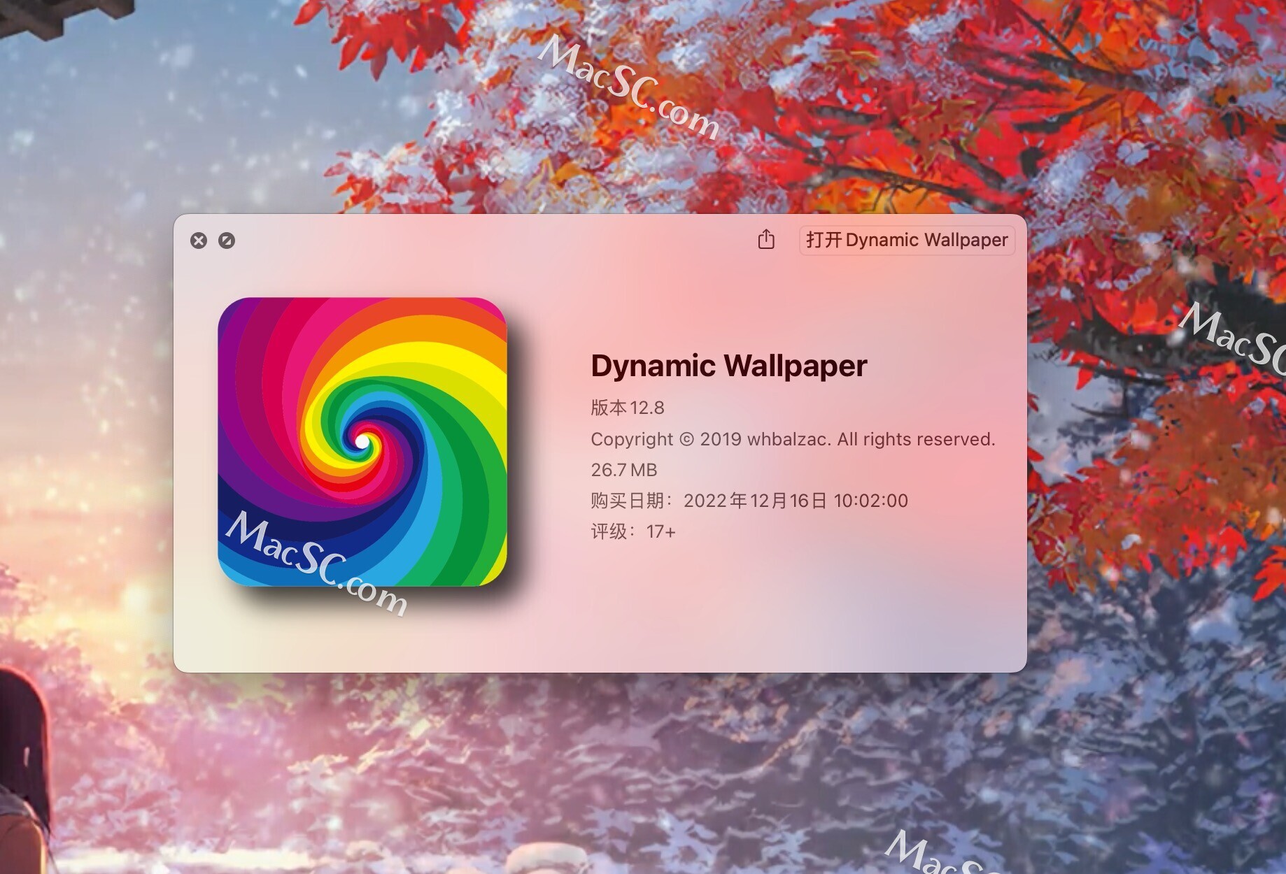 Dynamic Wallpaper for Mac(Mac动态壁纸桌面)v12.8最新中文版 - 哔哩哔哩