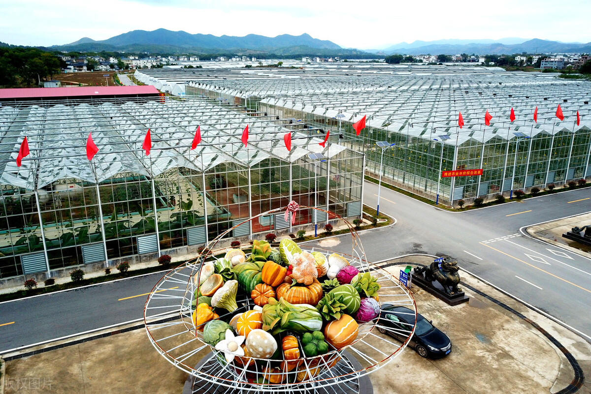 现代农业领域中的智慧大棚系统 - 哔哩哔哩