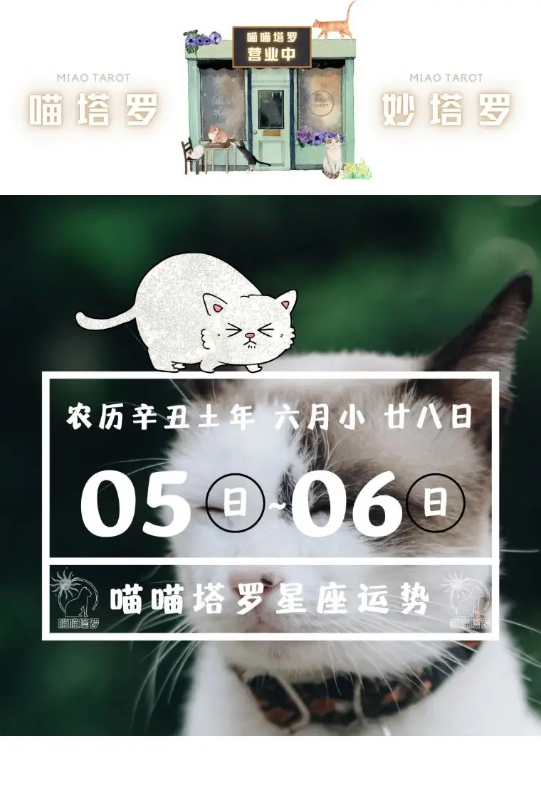 喵喵塔罗 十二星座运势 8月5日 8月6日 哔哩哔哩