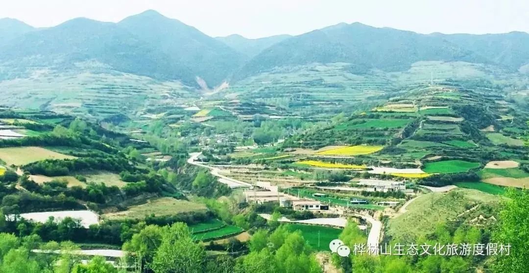 避暑就来陇西桦林山,在山泉翠林间尽享清凉时刻!