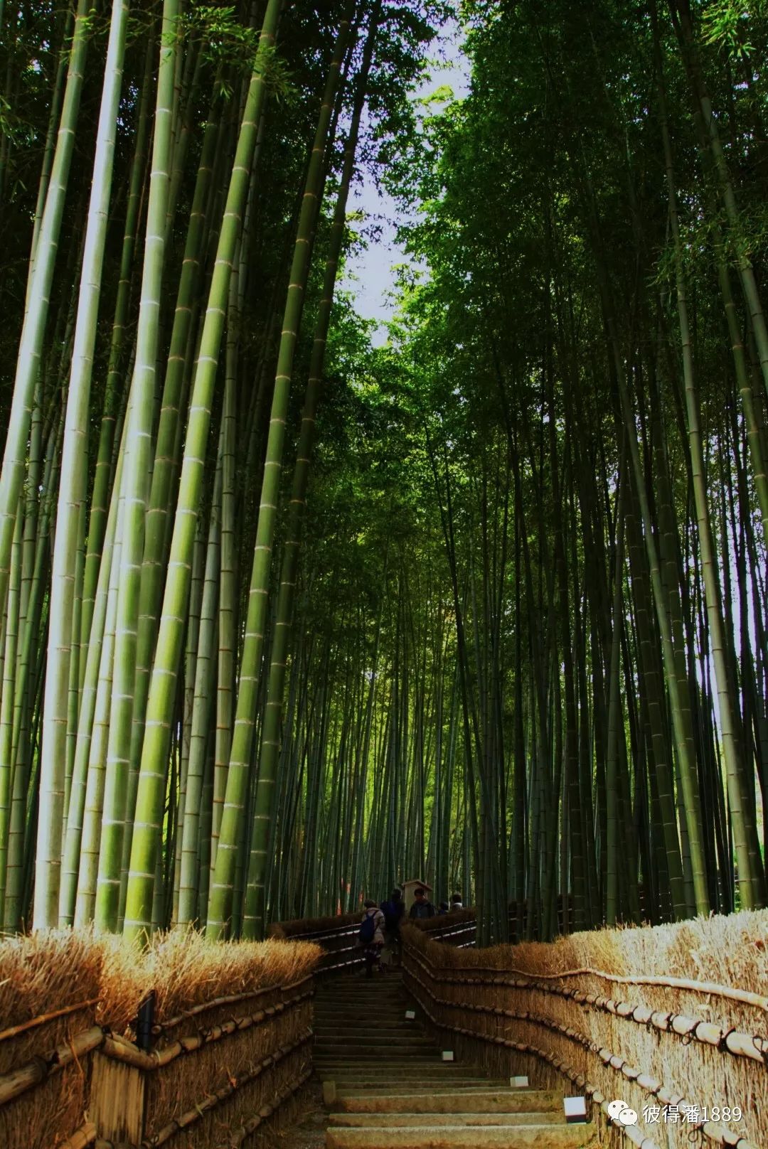 京都| 盛唐古风,风物犹在