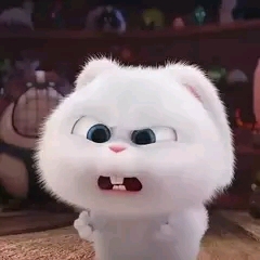 CSgo手套刀子个人搭配推荐