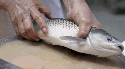 以前的西关小姐这样补胶原蛋白,现在她却…… - 哔哩哔哩