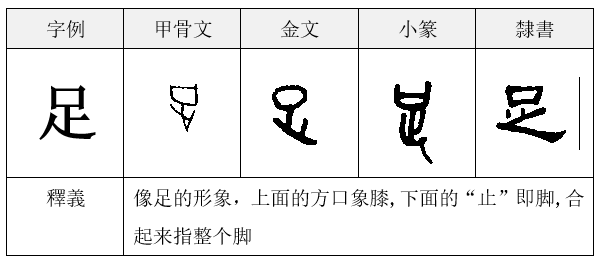 人体部位象形字图片