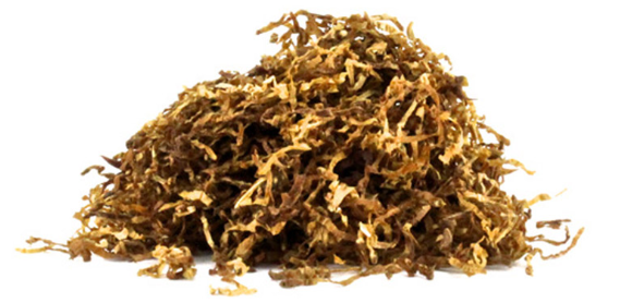 烟斗草形状分类大全