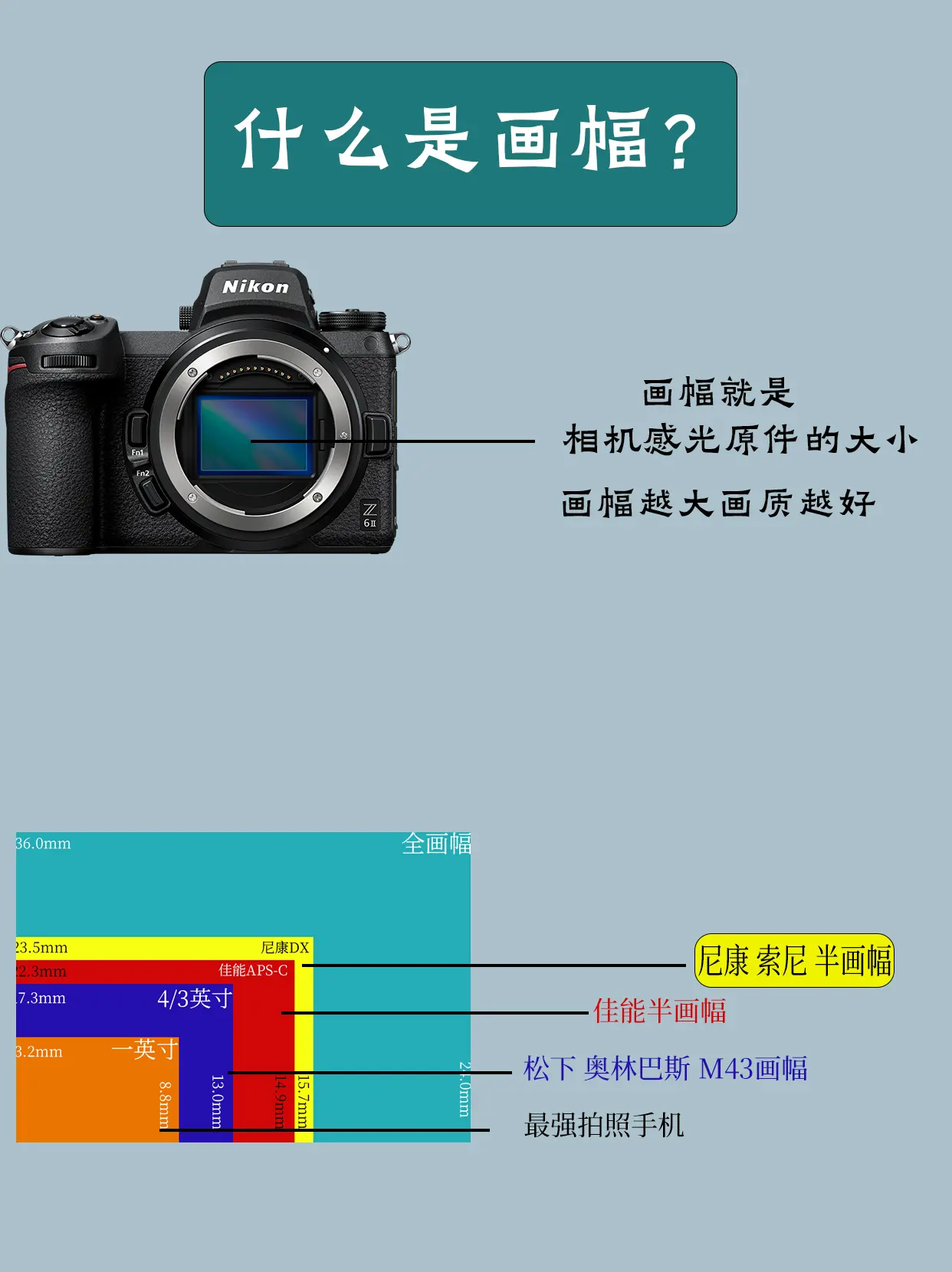 单反天梯图2021图片