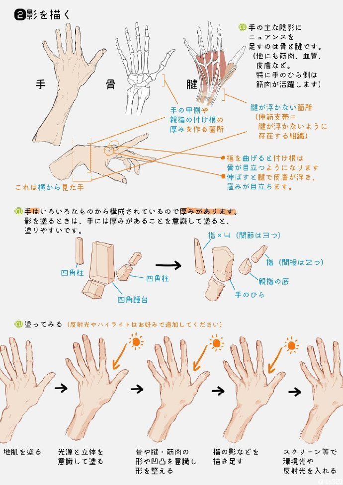 手部绘制教程 用色 结构