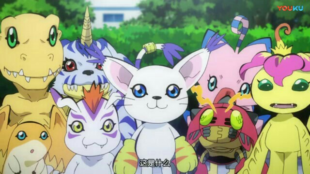 说说,神奇宝贝与数码宝贝的区别。