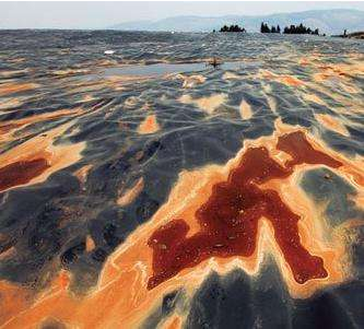 【环境保护】重金属污染科普 垃圾分类科普 对李永乐老师干电池回收