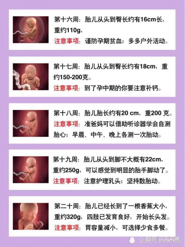 十月怀胎 四十周的妊娠注意事项 哔哩哔哩