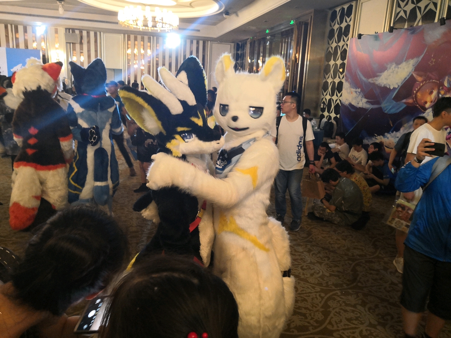 2019 728极兽聚返图及感想