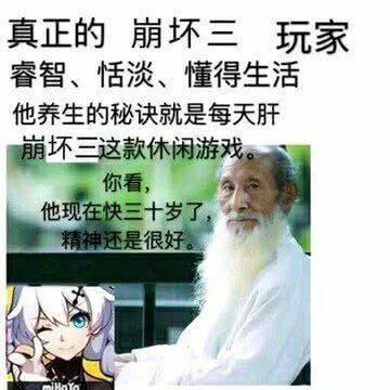 群里的崩坏3表情包11